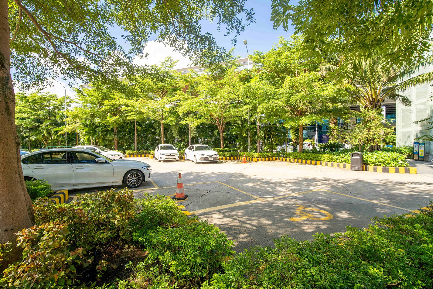 Ảnh 신체 장애가 있는 승객용 주차